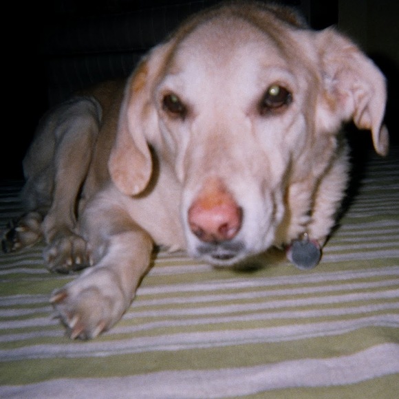 Meet your Posher, Kate - Picture 1 of 1